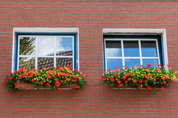 Two windows with flower pots and Beautiful red geranium flowers