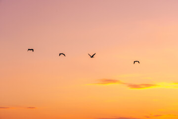Sunset over the Edisto River, Seabrook Island SC