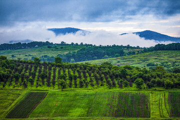 Obraz premium landscape in the mountains (fareast russia)