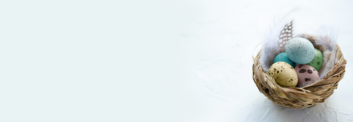 Colorful Easter eggs in the small nest with feathers on a light background. Copy space. Banner. The Easter concept. Happy Easter