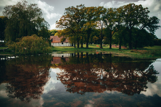 Dyrehaven Bilder Durchsuchen 388 Archivfotos, und