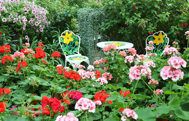 Obraz premium Colorful chairs and table in the garden among flowers and green plants.