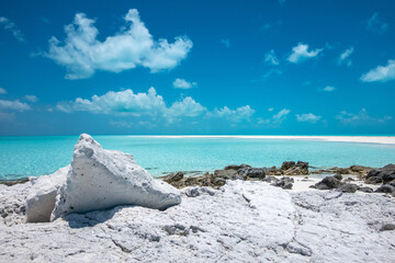 The Turquoise Iridescence of Sandy Cay, Exumas, Bahama