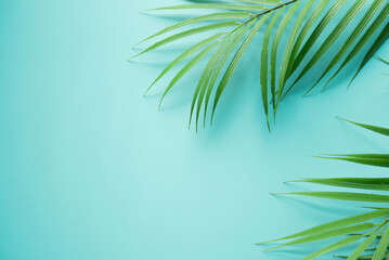 Fototapeta na wymiar close up top view on coconut tropical leaves on teal and cyan ole background with copy space for ads banner design in summer season concept 