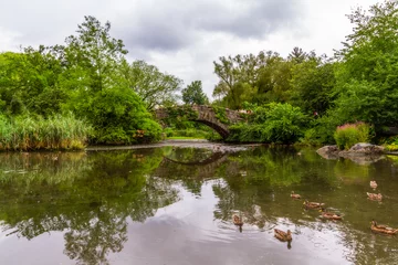 Photo sur Plexiglas Pont de Gapstow Tourists on the Gapstow Bridge and the ducks swimming in the pond in Central Park