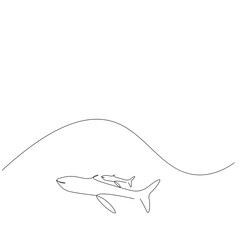 Whale animal line drawing, vector illustration