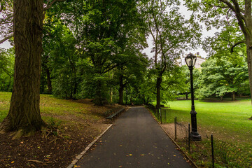 Fototapeta premium Empty trail at Central Park by the trees on a summer morning