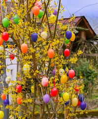 Fototapeta na wymiar Easter tree decorated with colorful Easter eggs