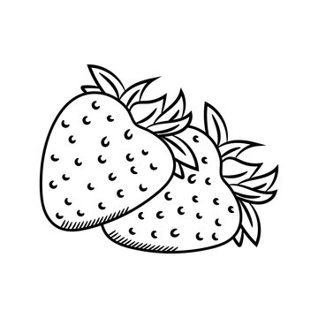 outline two strawberries, hand drawing, isolated on white background