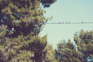 Hanging boots on a cable