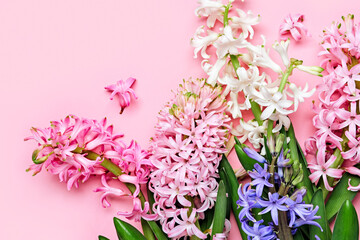 Obraz premium Flowers festive composition. Pink Spring or Easter Floral Background. Beautiful hyacinths flowers, Hello spring concept