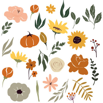 Vector autumn elements - pumpkin, florals, sunflower, leaves