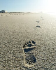 footprints in the sand