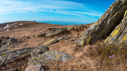 A vast, golden pasture on top of Sauofen, Austrian Alps. A lot of big stones on the grounds. High mountain chains in the back. Blue sky, with a few clouds. Outdoor activity. Serenity and calmness