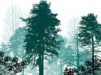 cyan mixed forest on white
