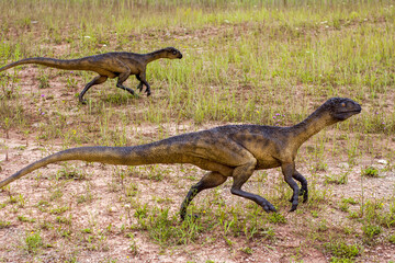 A model of a prehistoric dinosaur made available to visitors to a Jurassic park to learn about the...