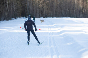 Cross country Skilling. A skier goes skiing on the ski track.