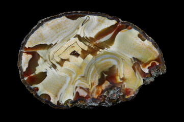 A cross section of the agate stone. Multicolored silica bands colored with metal oxides are...
