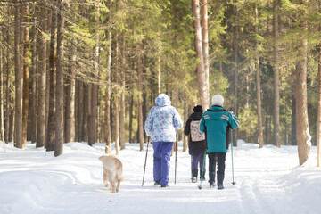 Fototapeta na wymiar Nordic walking.A woman is engaged in Nordic walking in the winter in the park.
