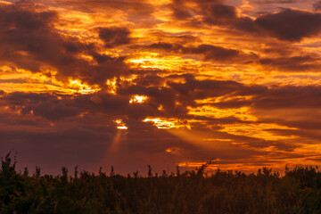 Obraz premium Seabrook Island North Beach Sunrise