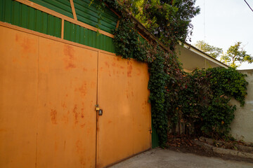 Orange painted garage door closed with lock, evergreen ivy plant growing around