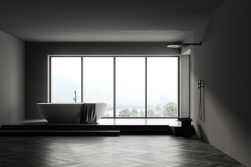 Dark bathroom interior with bathtub and shower with window