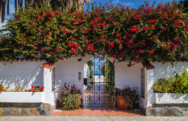 Mediterranean entry cage with blooming flowers and the sea in the background
