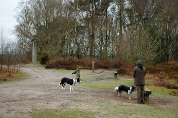 Hindhead common visit for leisure and health.