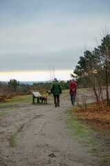 Hindhead common visit for leisure and health.