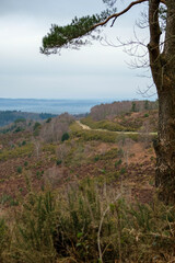 Hindhead common visit for leisure and health.