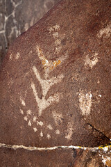 Unique Native American Indian petroglyph created art