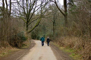 Hindhead common visit for leisure and health.