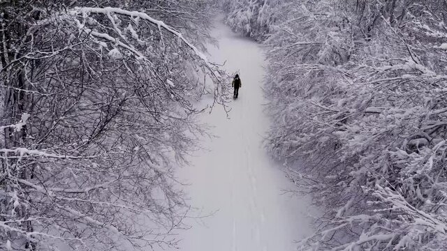 Aerial shot of the beech forest of Monte Soro on the Nebrodi Mountains in Sicily. Walk with snowshoes in the icy paths of the Nebrodi mountains. Frill trees. Sicily in winter.