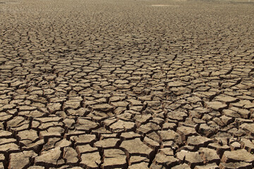 The drought land texture in Thailand. The global shortage of water on the planet. Global warming and greenhouse effect concept.