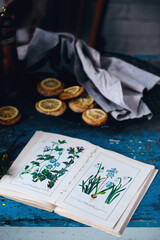 biscuits with lemon with a bouquet of mimosa.style vintage