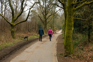 Hindhead common visit for leisure and health.