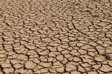 The drought land texture in Thailand. The global shortage of water on the planet. Global warming and greenhouse effect concept.