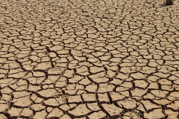 The drought land texture in Thailand. The global shortage of water on the planet. Global warming and greenhouse effect concept.