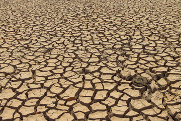 The drought land texture in Thailand. The global shortage of water on the planet. Global warming...
