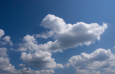 Naklejka na ściany i meble White clouds in the blue sky.