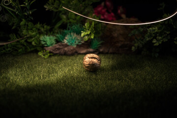 Still life with Walnut kernels and whole walnuts on rustic old wooden table. Creative table decoration.