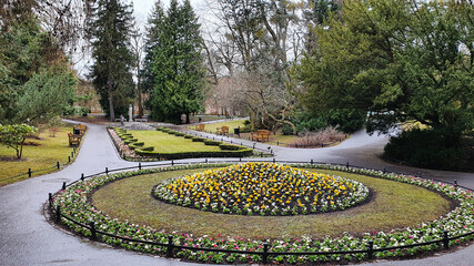Beautiful flower beds in the old Oliwa Park in Gdansk, Poland - obrazy, fototapety, plakaty