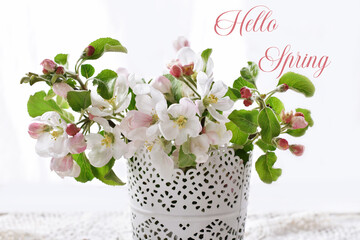 spring apple blossoms in vase isolated on white  with text Hello spring