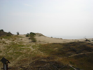 person on the beach