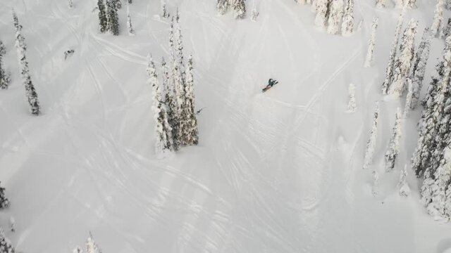 Drone shot of a person driving a snowmobile through snowed trees in Revelstoke, British Columbia.
