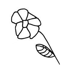 Isolated black line illustration. Stylized wild flower with leave Hand drawn doodle sketch. Black silhouette on white background.