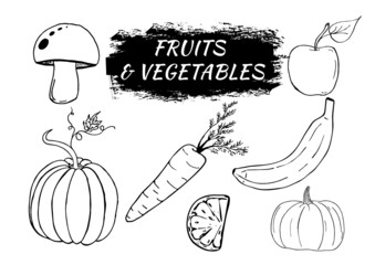 fruits vegetables hand drawn illustration carrot mushroom apple pumpkin  lemon