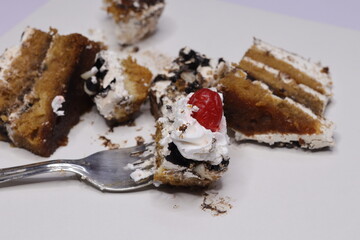 Chocolate Cake Isolated on White Background