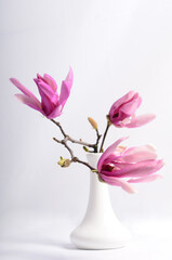 Magnolia branches with flowers in a white vase.