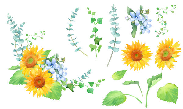 3 008 Best 青い花 Images Stock Photos Vectors Adobe Stock